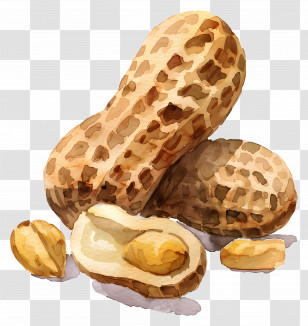 Peanut - Peanuts In Shell Transparent PNG