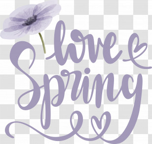Floral Design Transparent PNG