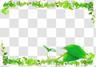 Leaf Green Vine - Plant - Vines Border Transparent PNG