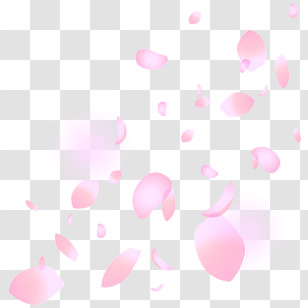 Pink Petals - Delicate Pink Petals Falling Gracefully Transparent PNG