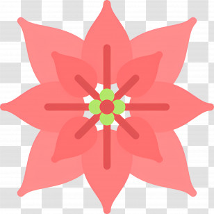 Poinsettia - Pink Floral Icon Illustration Transparent PNG