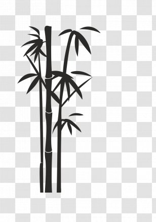 Clip Art Transparency Image Vector Graphics - Sticker - Bamboo Plant Transparent PNG