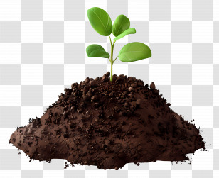 Soil - Sprouting Plant In Soil Transparent PNG