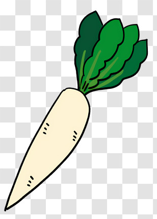 Cartoon - White Radish With Green Top Cartoon Illustration Transparent PNG
