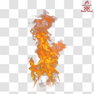 Flame Combustion Fire - Upload Transparent PNG