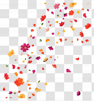 Falling Flowers - Colorful Falling Petals Floral Design Transparent PNG