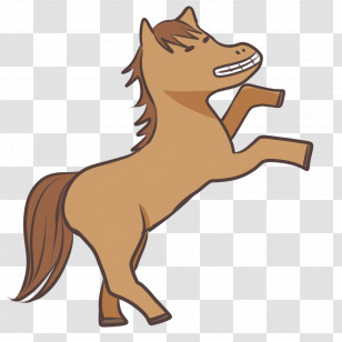 Foal Mustang Stallion Halter Dog Transparent PNG