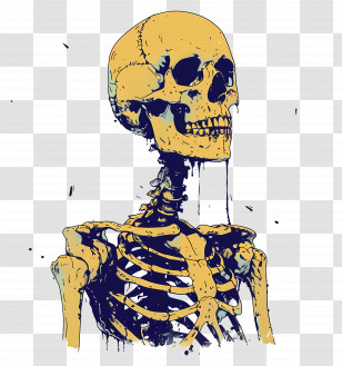 Skeleton - Yellow Skeleton Art For Anatomy And Horror Themes Transparent PNG