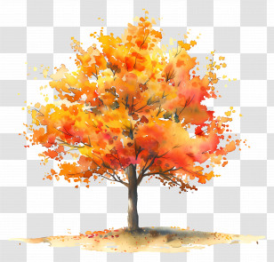 Watercolor Tree Plan - Autumn Tree Illustration With Golden Leaves Transparent PNG
