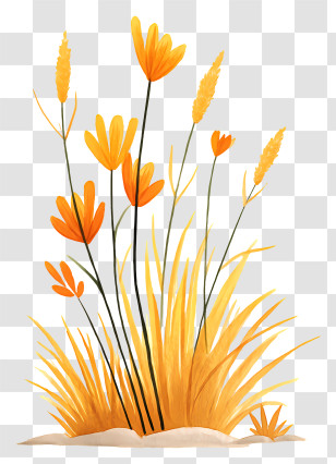 Watercolor Desert Grass - Yellow Wildflowers In Field Transparent PNG