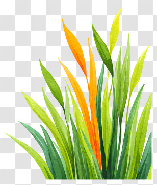 Watercolor Grass Background - Colorful Green And Orange Grass Transparent PNG