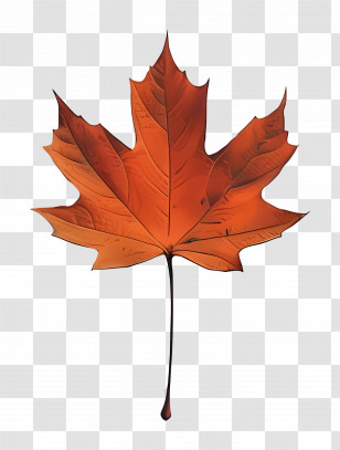 Maple Leaf - Orange Maple Leaf For Autumn Representation Transparent PNG