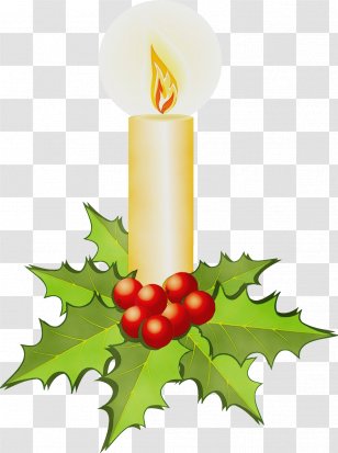Holly - Wet Ink - Interior Design Tree Transparent PNG