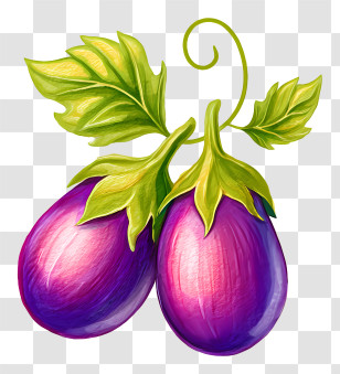 Eggplants - Vibrant Purple Eggplants Illustration Transparent PNG