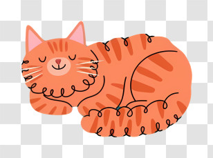 Black Cat - Sleeping Orange Cat Illustration Transparent PNG