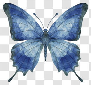 Blue Butterfly - Blue Watercolor Butterfly Artistic Illustration Transparent PNG