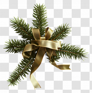 Christmas Tree Branch - Elegant Pine Branch Decoration Transparent PNG