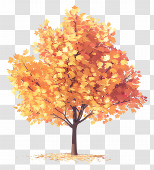 Maple Tree - Beautiful Autumn Tree With Vibrant Leaves Transparent PNG