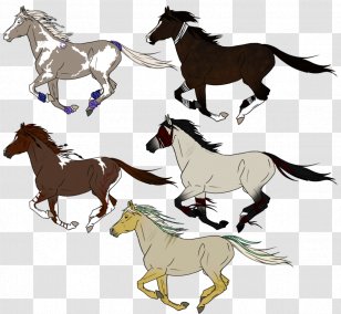 Mustang Foal Stallion Colt Rein - Equestrian - Chrysanths Transparent PNG
