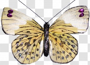 Monarch Butterfly Pieridae Moth Nymphalidae Transparent PNG