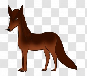 Mule Foal Stallion Mare Colt - Mustang Transparent PNG