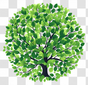 Green Tree Plan - Green Tree Illustration With Dense Foliage Transparent PNG