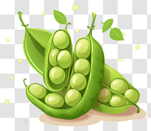 Pea Pod - Fresh Green Peas In Pod Transparent PNG