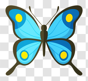 Blue Butterfly - Blue Butterfly Illustration Transparent PNG