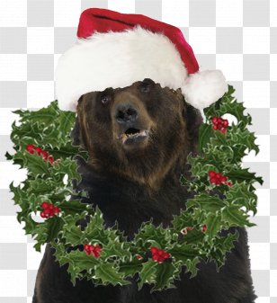 American Pit Bull Terrier Dog Breed Holiday Greeting & Note Cards - Bully - Christmas Transparent PNG