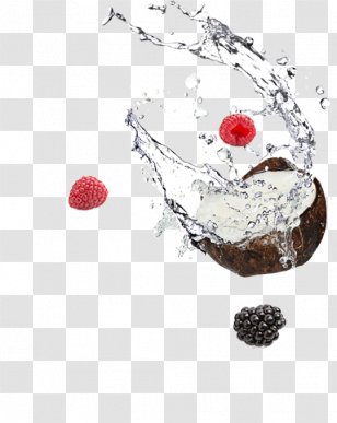 Coconut Water Milk Quick And Dirty Tips Designer - Freakshake Transparent PNG