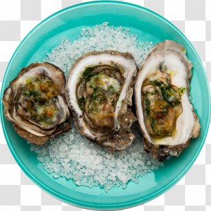 Oysters Rockefeller Seafood Clam Mississippi - Aftermath Illustration Transparent PNG