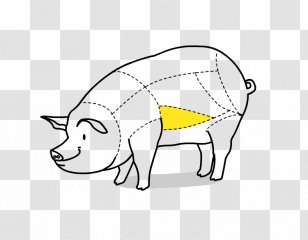 Pig Galbijib Drawing Clip Art - Mammal Transparent PNG