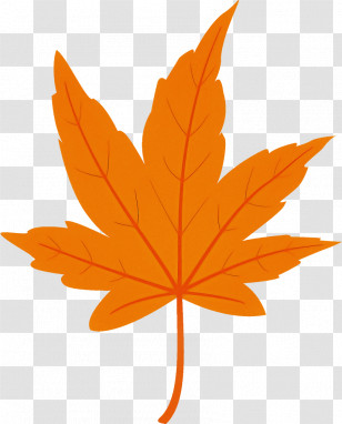 Maple Leaf Autumn Leaf Yellow Leaf Transparent PNG