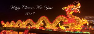 China Public Holiday Celebrate Chinese New Year Transparent PNG