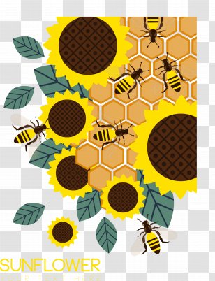 Honey Bee Honeycomb Common Sunflower - Yellow - Bees Gather Transparent PNG