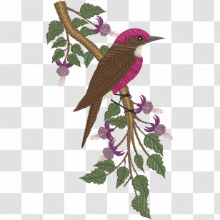 Parrots Of New Guinea Bird Eclectus Parrot Clip Art Transparent PNG