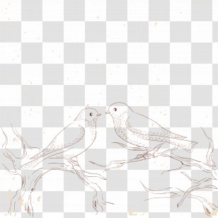 Beak Black And White Feather Pattern - Love Birds Sketch Transparent PNG