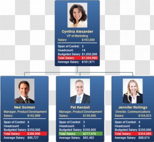 Organizational Chart Business Infographic - Diagram Transparent PNG