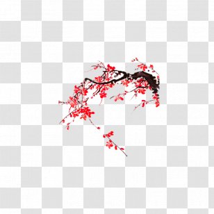 Icon - Photography - Creative Plum Bloom Transparent PNG