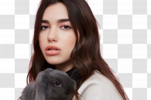 Rabbit Cartoon - Song - Smile Transparent PNG
