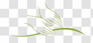 Thai Massage Therapy Lisa Jenner - Cupping - Holistic Therapist, Massage, Reflexology Alternative Health ServicesOthers Transparent PNG