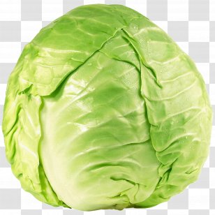 Savoy Cabbage Collard Greens Cruciferous Vegetables Spring - Vegetable Transparent PNG