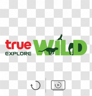 True Corporation à¸—à¸£à¸¹à¹„à¸—à¸¢à¸Ÿà¸´à¸¥à¹Œà¸¡ Television Channel TrueVisions - Streaming Transparent PNG