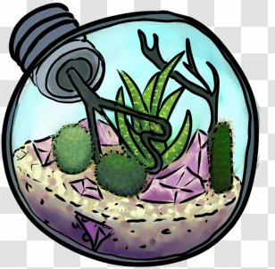 Cactus Cartoon - Fruit - Succulent Plant Transparent PNG