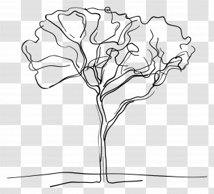 One Line Drawing - Minimalist Line Art Of A Tree Transparent PNG
