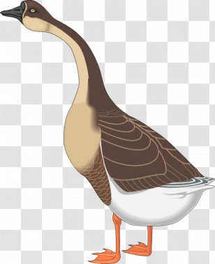 Canada Goose Bird Clip Art - Mothman Transparent PNG