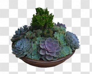 Houseplant Garden Design Table Matbord - Landscaping Transparent PNG