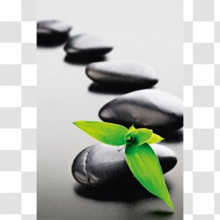 Zen Buddhism And Hinduism Meditation Poster Transparent PNG