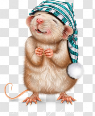 Hamster Transparent PNG