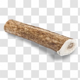 Elk Dog Antler Wood /m/083vt - Antlers Transparent PNG